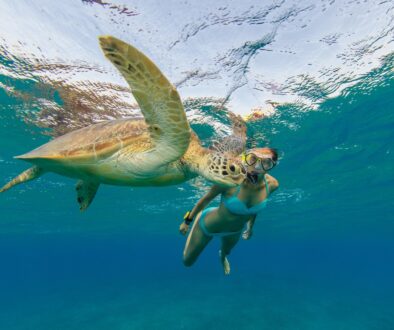 nager en mer des Caraïbes