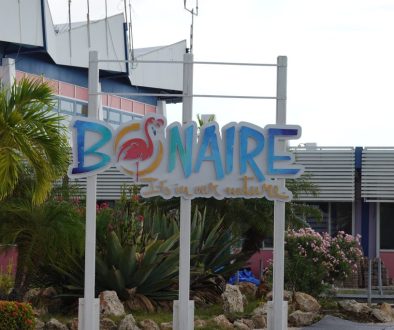 flights_bonaire_usa