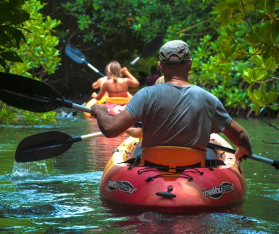 bonaire_mangrove_kayak